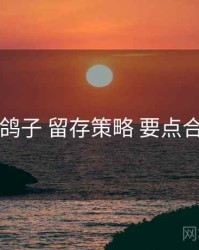 电鸽子 留存策略 要点合辑