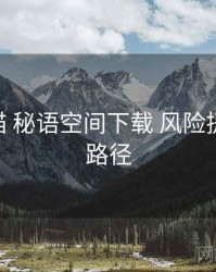 全景扫描 秘语空间下载 风险提示 入门路径