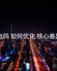 电鸽 如何优化 核心差异