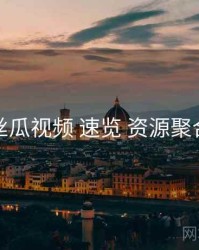 丝瓜视频 速览 资源聚合