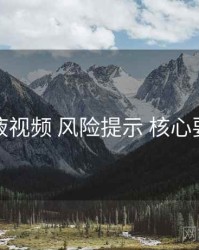 爱液视频 风险提示 核心要点