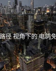 分发路径 视角下的 电鸽免费看