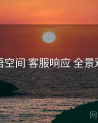 秘语空间 客服响应 全景观察