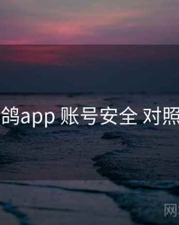 电鸽app 账号安全 对照表