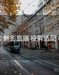 上手必读 魅影直播 投屏适配 检查清单