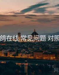 电鸽在线 常见问题 对照表