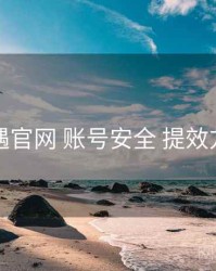 岛遇官网 账号安全 提效方案