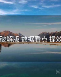 电鸽破解版 数据看点 提效方案
