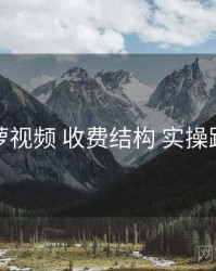 菠萝视频 收费结构 实操路径