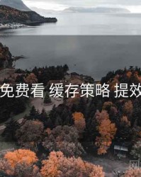 电鸽免费看 缓存策略 提效方案