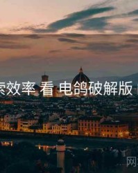 从 搜索效率 看 电鸽破解版 的优势