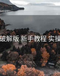 岛遇破解版 新手教程 实操路径