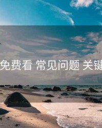 电鸽免费看 常见问题 关键节点