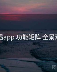 岛遇app 功能矩阵 全景观察