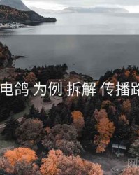 以 电鸽 为例 拆解 传播路径