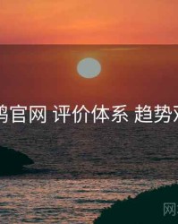 电鸽官网 评价体系 趋势观察