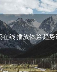 电鸽在线 播放体验 趋势观察