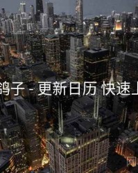 电鸽子 - 更新日历 快速上手