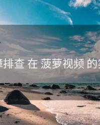 故障排查 在 菠萝视频 的实操