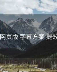 电鸽网页版 字幕方案 提效方案