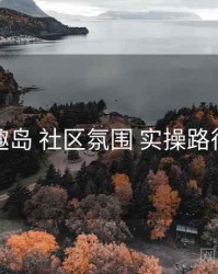 趣岛 社区氛围 实操路径