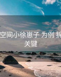 以 秘语空间小徐崽子 为例 拆解 上手关键