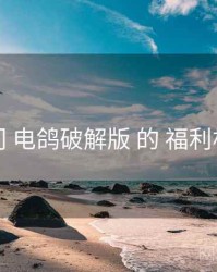 入门 电鸽破解版 的 福利机制
