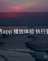 秘语app 播放体验 执行要点