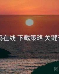 电鸽在线 下载策略 关键节点