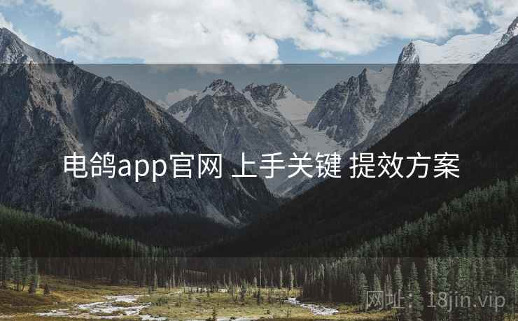 电鸽app官网 上手关键 提效方案