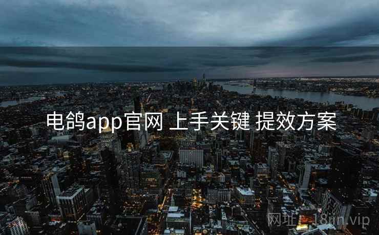 电鸽app官网 上手关键 提效方案