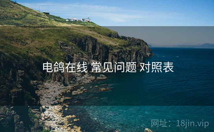 电鸽在线 常见问题 对照表