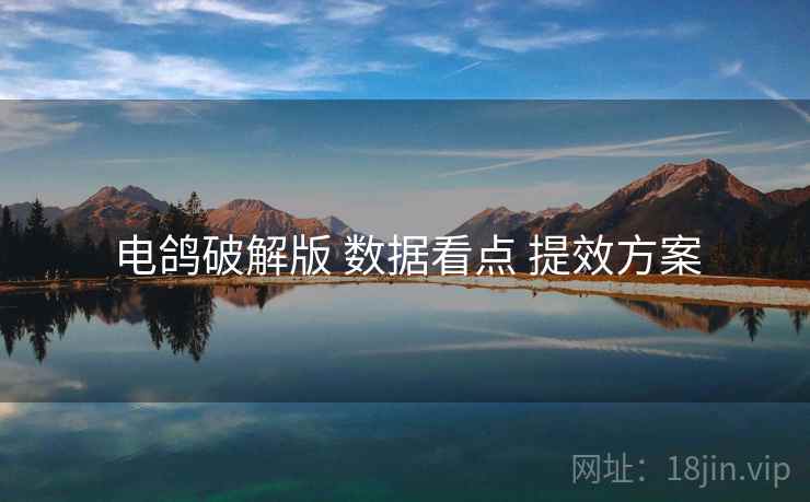 电鸽破解版 数据看点 提效方案
