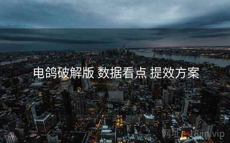 电鸽破解版 数据看点 提效方案