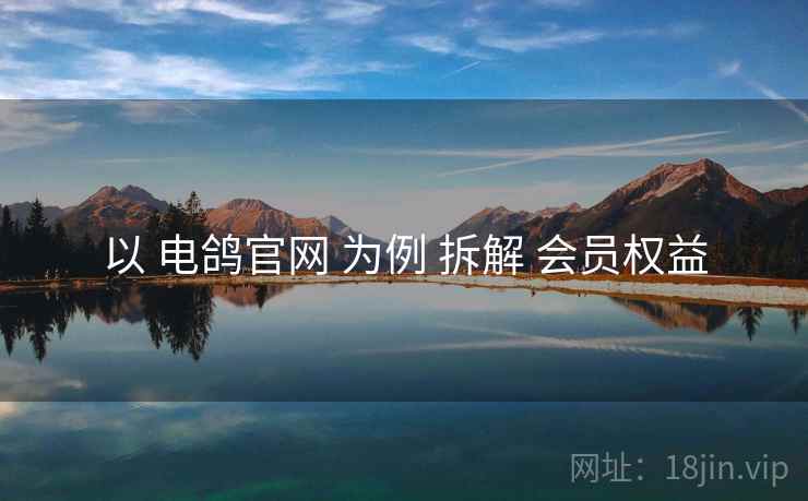 以 电鸽官网 为例 拆解 会员权益