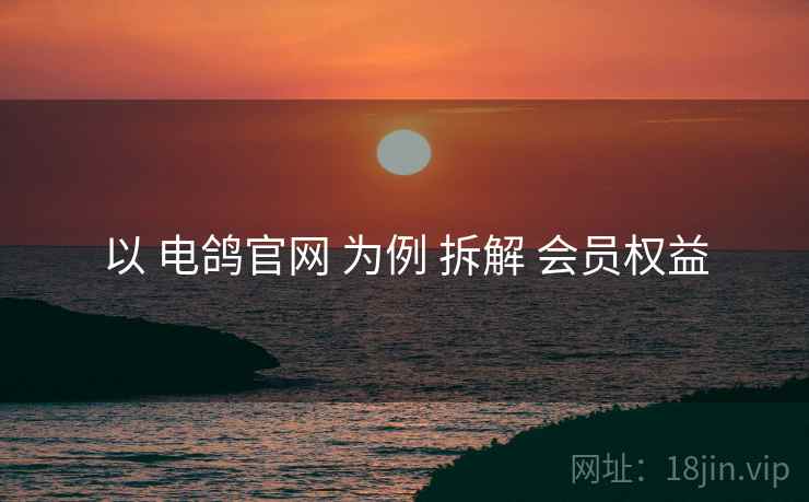以 电鸽官网 为例 拆解 会员权益