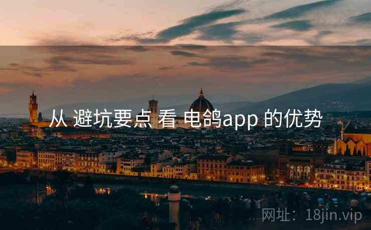 从 避坑要点 看 电鸽app 的优势
