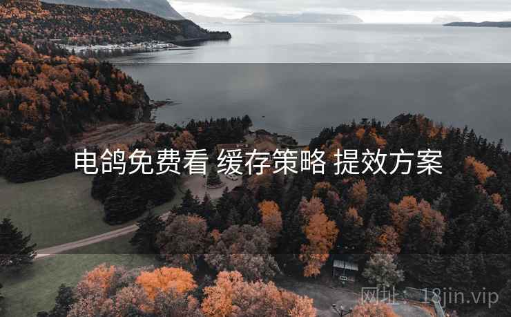 电鸽免费看 缓存策略 提效方案