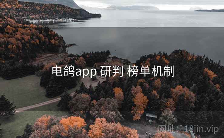 电鸽app 研判 榜单机制