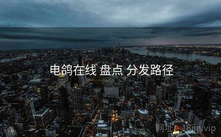 电鸽在线 盘点 分发路径