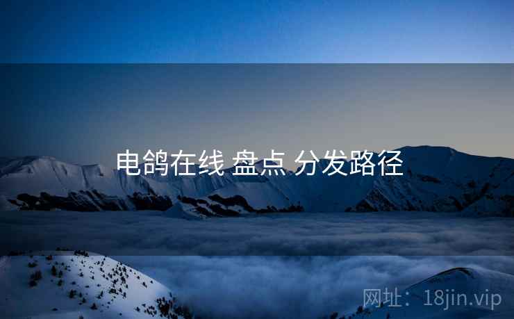 电鸽在线 盘点 分发路径