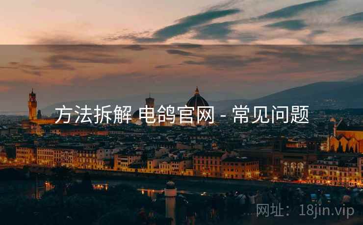 方法拆解 电鸽官网 - 常见问题