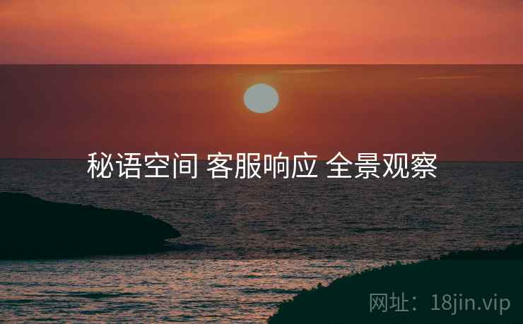 秘语空间 客服响应 全景观察