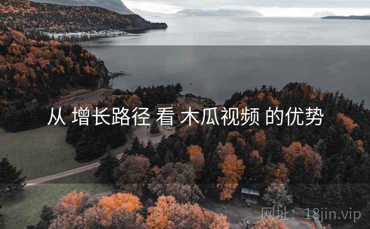 从 增长路径 看 木瓜视频 的优势