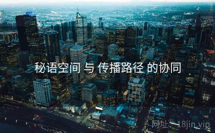 秘语空间 与 传播路径 的协同