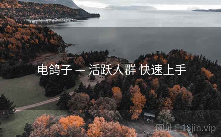 电鸽子 — 活跃人群 快速上手
