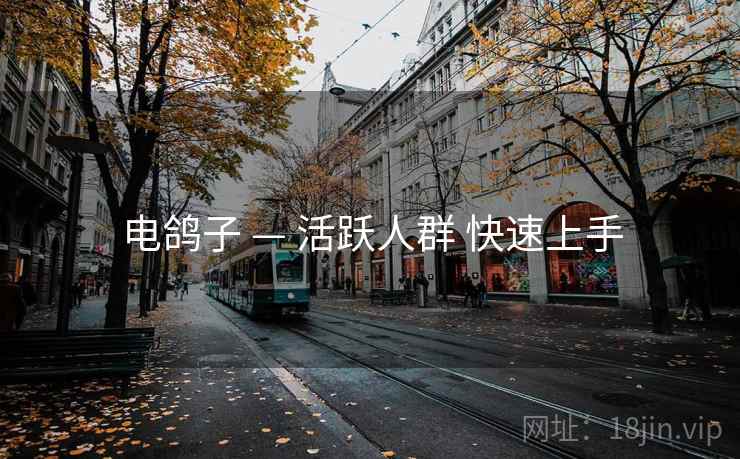 电鸽子 — 活跃人群 快速上手