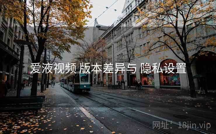 爱液视频 版本差异与 隐私设置