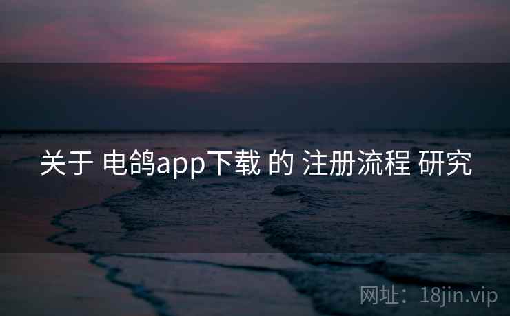 关于 电鸽app下载 的 注册流程 研究
