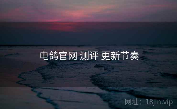 电鸽官网 测评 更新节奏
